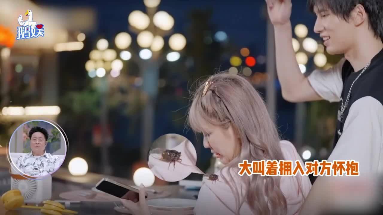 小猫钓鱼正版下载中文版